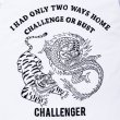 画像8: CHALLENGER [チャレンジャー] L/S CHALLENGE OR BUST TEE 　ロングスリーブチャレンジャーオアバーストTシャツ CLG-TS 018-011  (8)