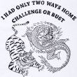 画像5: CHALLENGER [チャレンジャー] CHALLENGE OR BUST TEE 　チャレンジャーオアバーストTシャツ CLG-TS 018-007  (5)