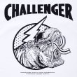 画像5: CHALLENGER [チャレンジャー] HIPPOPOTAMUS TEE ヒポポタマスTシャツ CLG-TS 018-009  (5)