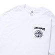画像6: CHALLENGER [チャレンジャー] HIPPOPOTAMUS TEE ヒポポタマスTシャツ CLG-TS 018-009  (6)