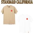 画像1: Chocolate Skateboards × STANDARD CALIFORNIA [チョコレート スケートボード×スタンダードカリフォルニア] CHUNK Logo T [Beige,White] CHUNKロゴTシャツ (ベージュ、ホワイト)　AJS (1)