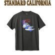 画像1: STANDARD CALIFORNIA [スタンダードカリフォルニア] AH × SD Dead Surf T [Black] デッドサーフTシャツ (ブラック)　AJA (1)