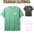 画像1: Surfrider Foundation × Standard California [サーフライダーファウンデーション×スタンダードカリフォルニア]  Logo T [Green,Black,White] ロゴTシャツ (グリーン、ブラック、ホワイト)　AJA (1)