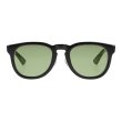 画像2: KANEKO OPTICAL×STANDARD CALIFORNIA [カネコオプティカル×スタンダードカリフォルニア] Sunglasses Type7 [Black/Green] サングラスタイプ7 (ブラック/グリーン) BCS (2)
