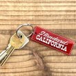 画像3: Button Works×STANDARD CALIFORNIA [ボタンワークス×スタンダードカリフォルニア] Key Holder [Red,Blue] キーホルダー (レッド、ブルー) BCS (3)