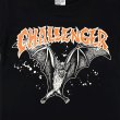 画像3: CHALLENGER [チャレンジャー] KIDS BAT TEE  キッズバットTシャツ BDS (3)