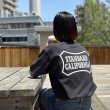 画像13: STANDARD CALIFORNIA [スタンダードカリフォルニア] SD Heavyweight Basic Logo T SDヘビーウェイトベーシックロゴＴ BDS (13)