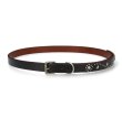 画像2: HTC [エイチティーシー] Belt #End Only SN-33 TQ0.75 [BLACK] ベルト #エンドオンリー ターコイズ (ブラック) BDA (2)