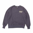 画像4: BUZZ RICKSON'S [バズリクソンズ]  FREEDOM SLEEVE SWEAT SHIRTS  “USAF” フリーダムスリーブスウェットシャツ “USAF”BDA (4)