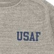 画像3: BUZZ RICKSON'S [バズリクソンズ]  FREEDOM SLEEVE SWEAT SHIRTS  “USAF” フリーダムスリーブスウェットシャツ “USAF”BDA (3)