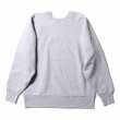 画像5: HOUSTON [ヒューストン] PRINT U.S. COTTON R/V SWEAT(WISCONSIN) U.S.コットンスウェットシャツ BDA (5)