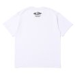 画像3: CHALLENGER [チャレンジャー] MICKEY MOUSE HAND PLANT TEE ミッキーマウスハンドプラントティー BES (3)