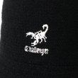 画像3: CHALLENGER [チャレンジャー] CLASSIC BALL HAT クラシックボールハット BES (3)