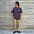 画像5: STANDARD CALIFORNIA [スタンダードカリフォルニア] Champion for SD Exclusive Heavyweight Logo T チャンピオン for エクスクルーシブヘビーウェイトロゴTシャツ BES (5)