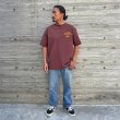 画像8: STANDARD CALIFORNIA [スタンダードカリフォルニア] Champion for SD Exclusive Heavyweight Logo T チャンピオン for エクスクルーシブヘビーウェイトロゴTシャツ BES (8)