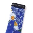 画像4: CHALLENGER [チャレンジャー] DAISY SOCKS デイジーソックス BEA (4)