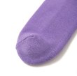 画像6: CHALLENGER [チャレンジャー] ROSE SOCKS ローズソックス BEA (6)