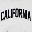 画像5: STANDARD CALIFORNIA [スタンダードカリフォルニア] Champion For SD Exclusive R.W Crew Sweat (Charcoal,Oatmeal) チャンピオン SDエクスクルーシブ リバースウィーブ クルーネック スウェット (チャコール,オートミール) BEA (5)