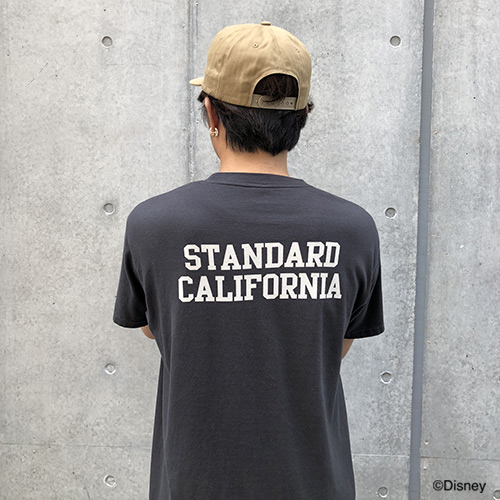 STANDARD CALIFORNIA DISNEY × SD-